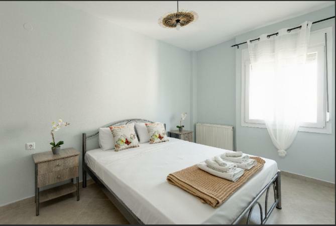 Bright Spacious Two-Bedroom Apartment Thessaloniki Buitenkant foto